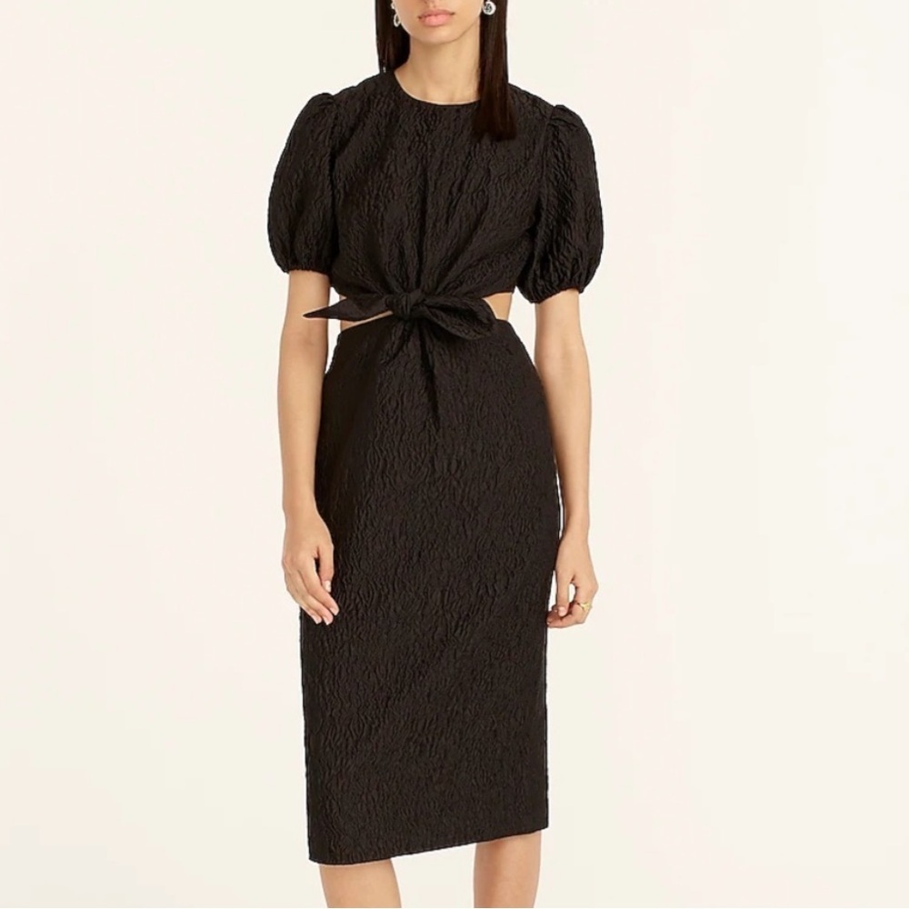 J. Crew Collection Cutout Dress in Textured Organza